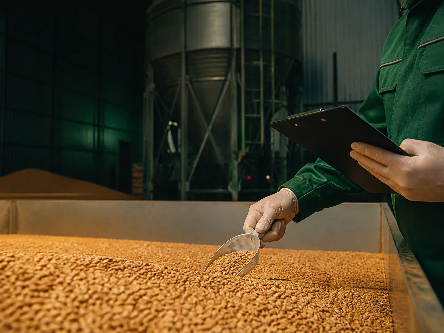 Inspeção técnica de grãos armazenados em silo